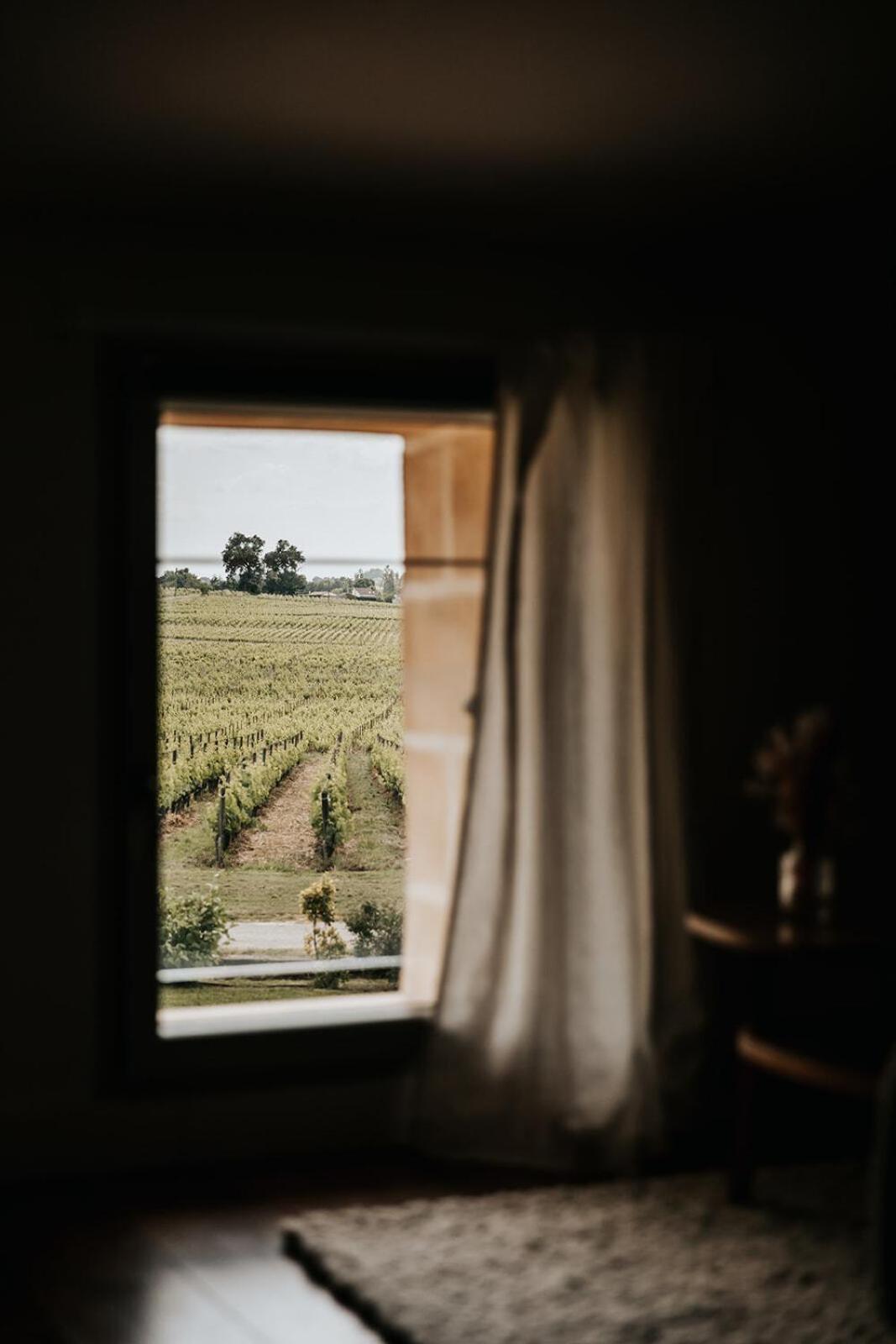 Chateau La Grande Clotte Lussac  Phòng bức ảnh